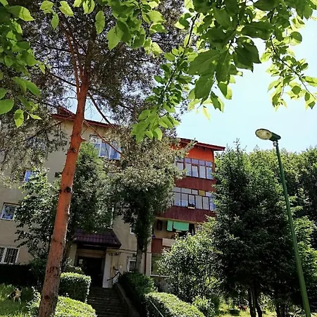 Apartment Rustic & Romantic Brasov